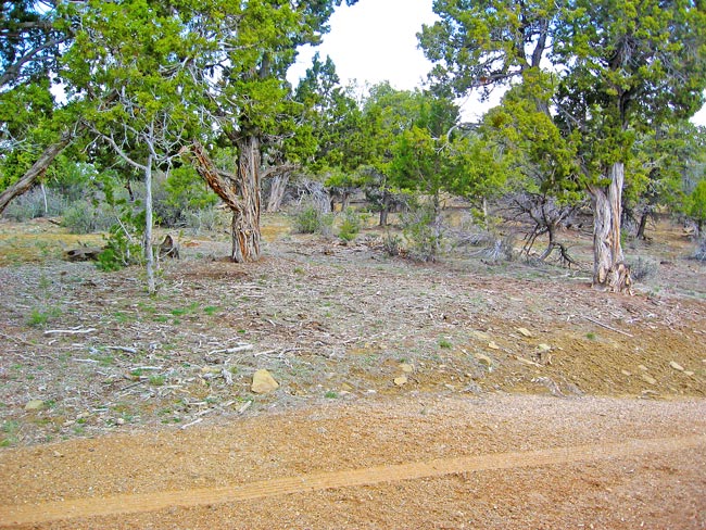 Fox Fire Ridge Lot 3 Terrain