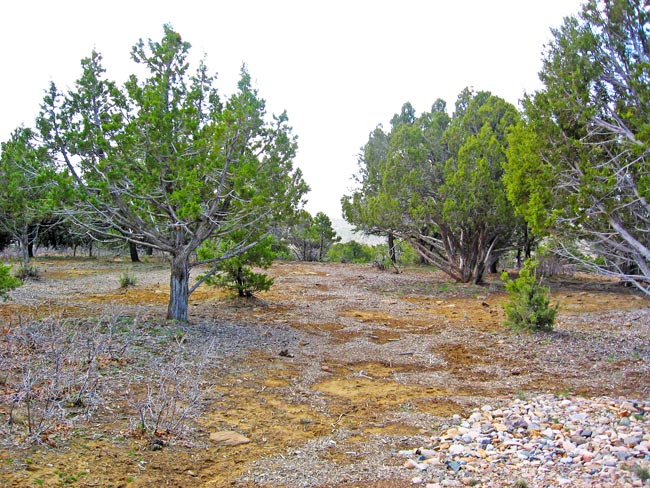 Fox Fire Ridge Lot 3 Terrain