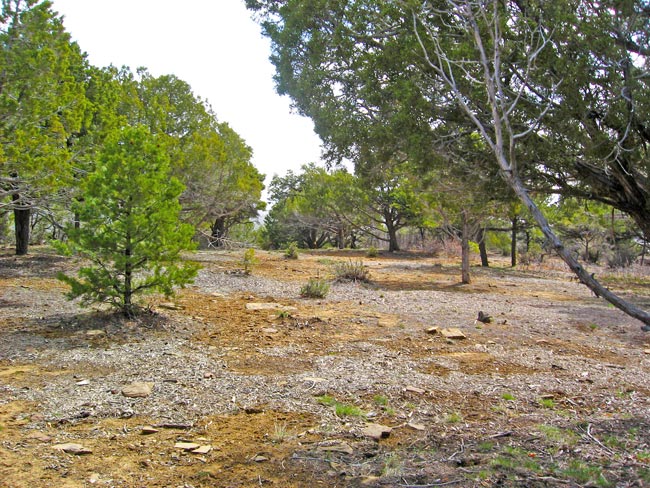 Fox Fire Ridge Lot 3 Terrain