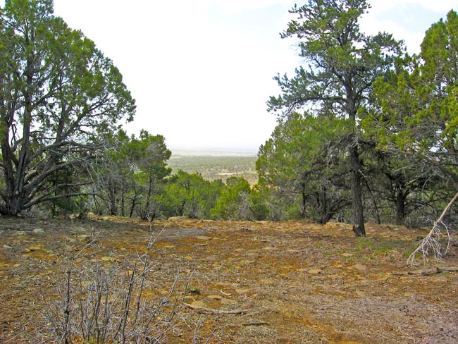 Fox Fire Ridge Lot 3 Terrain